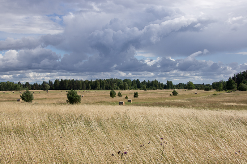 het Laheemaa Nationale Park aan de noordkust van Estland