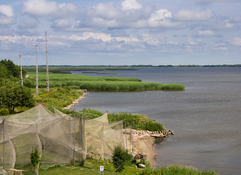 zowel hoge als lage vangnetten voor het vogeltellen