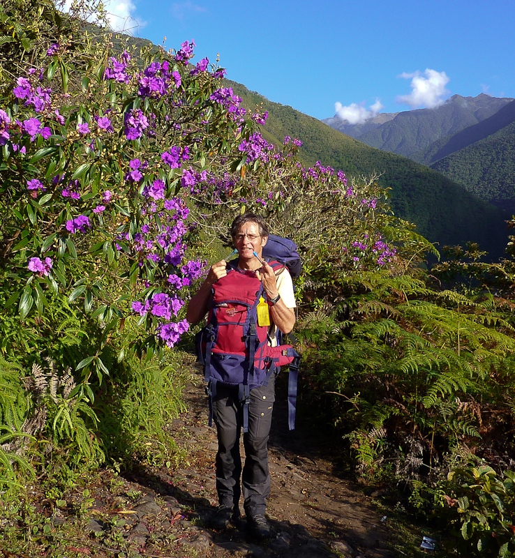 het was tropisch warm