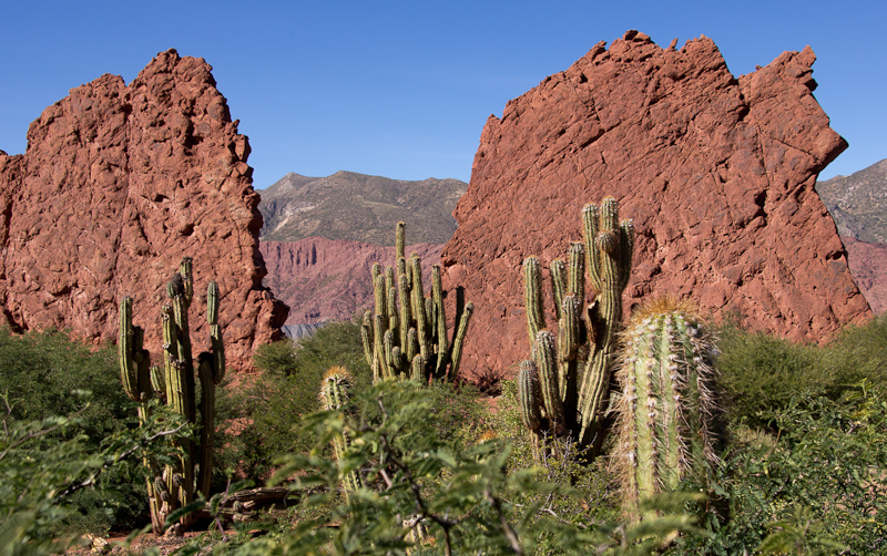 spectaculair landschap