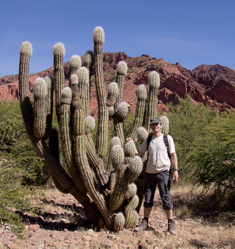zo'n cactus is redelijk prikkelbaar
