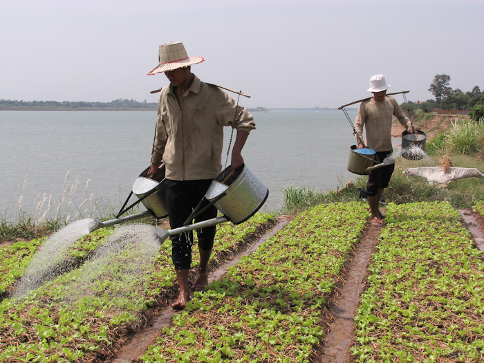 55  irrigatie langs de Mekong