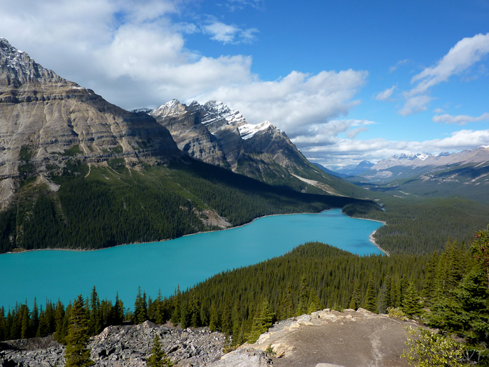 16  Peyto Lake langs de Icefields Parkway