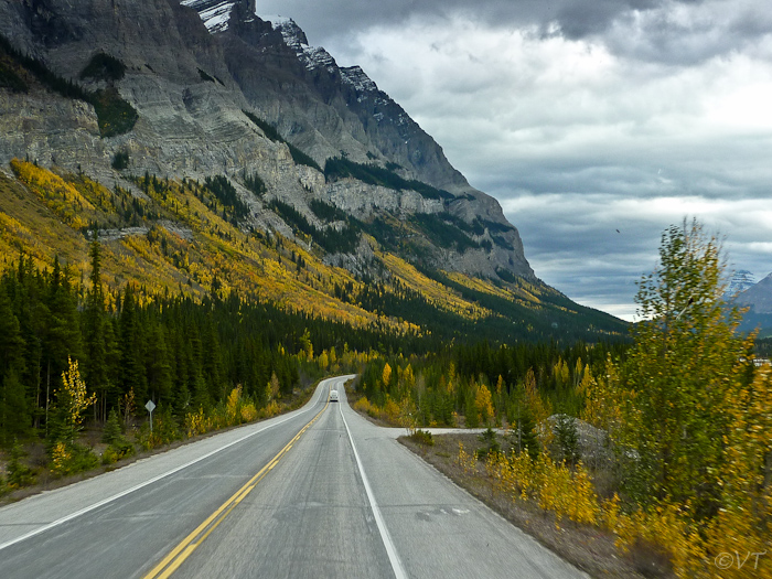17  Indian Summer op de Icefields Parkway