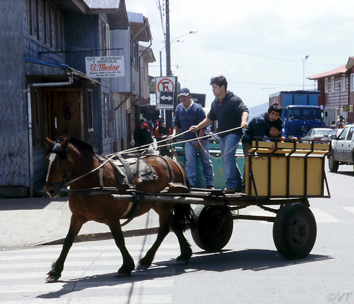 23 Chiloe