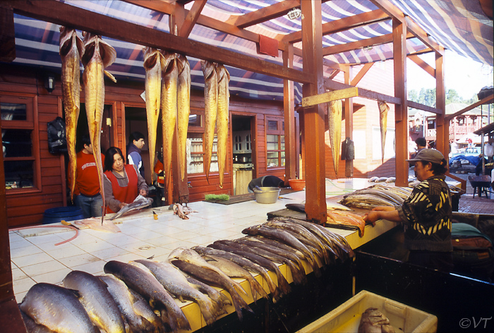 26 verse vis in Puerto Montt