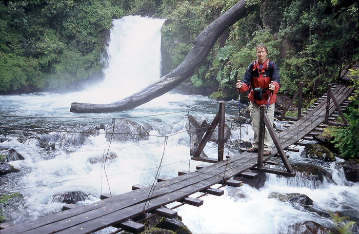 35 Parque Nacional Puehue