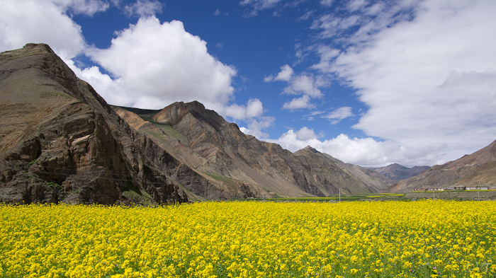 Onderweg in Tibet
