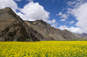 onderweg in Tibet