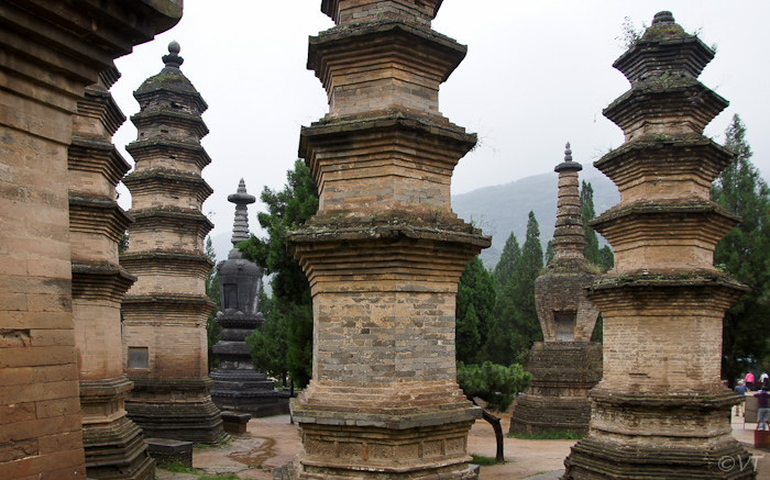 08  het pagode forest nabij Luoyang