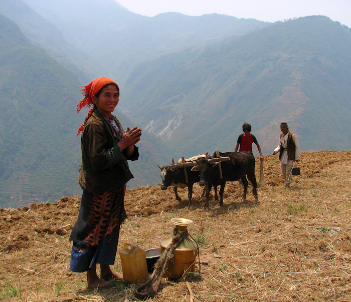 62 in de bergen zijn ze met de oogst bezig