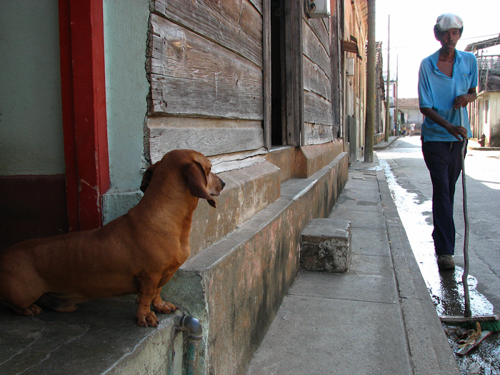 72 de teckel van ons gastgezin