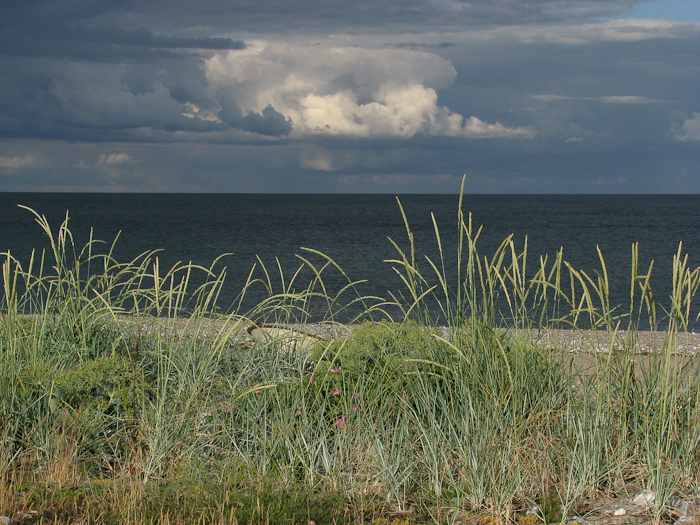 14  camping Rugaard aan het Kattegat