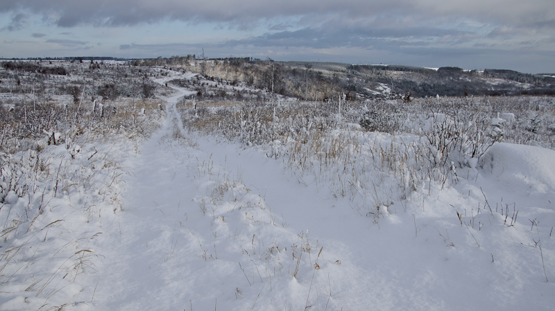 de sneeuw veranderde het landschap in een mooi schilderij