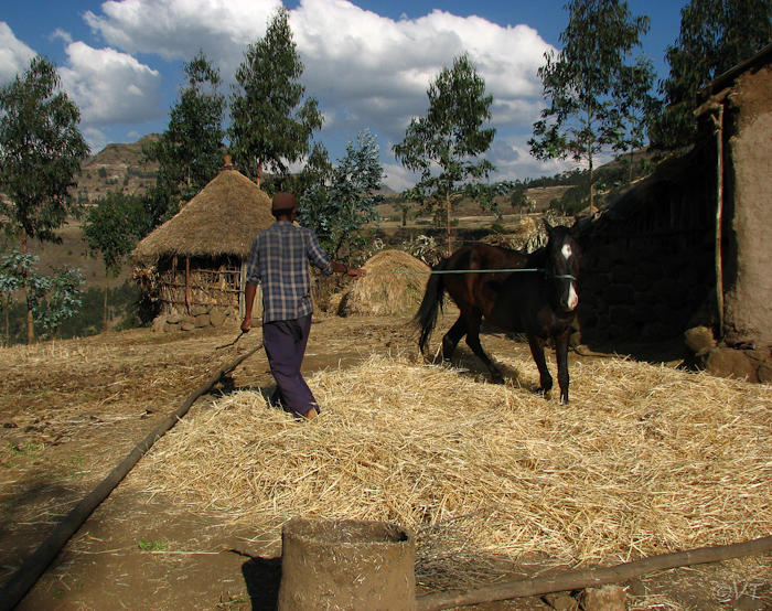 084 Asteten-dorp in de Lasta bergen rondom Lalibela