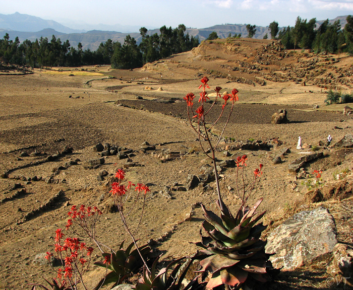 089 Lasta gebergte bij Lalibela