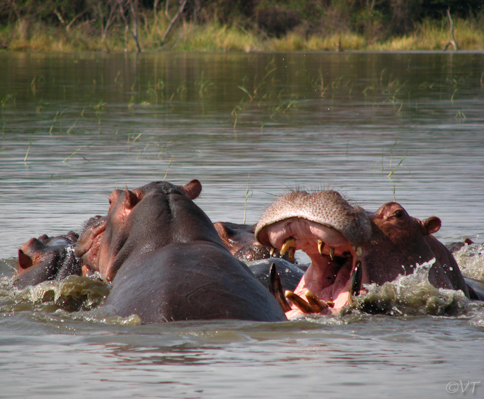 142 Nech Sar National Park