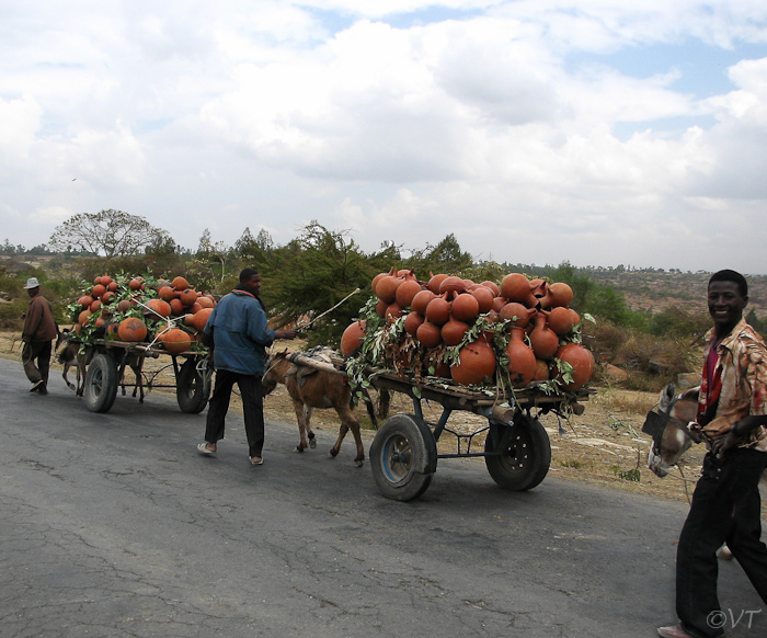 148 Kruikenhandelaren