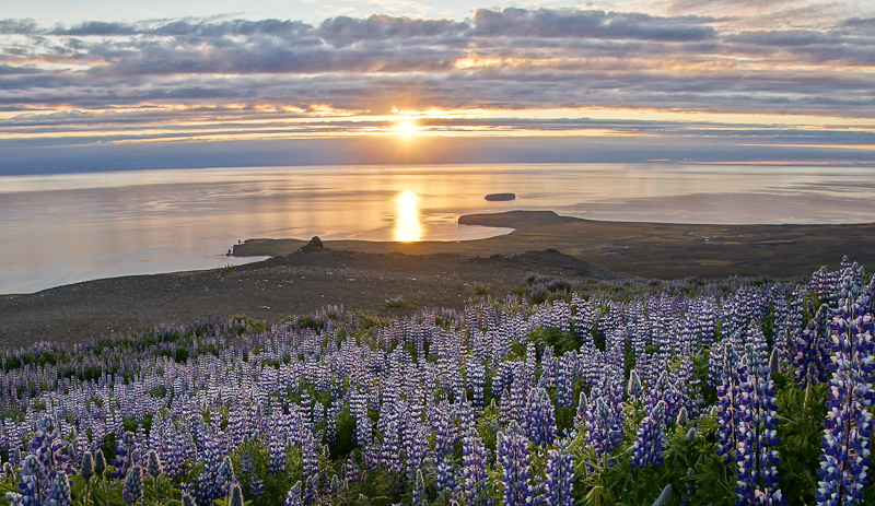 een nachtelijke wandeling vanaf de camping in Húsavík