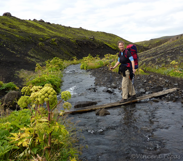 41 Dag vier gaat naar het eindpunt Þórsmörk 