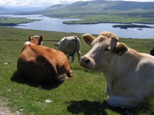 Valentia Island, Ierland