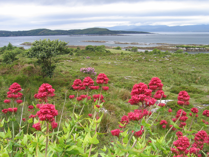 09 Beara Peninsula viewpoint