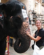 Lakshmi de zegende olifant