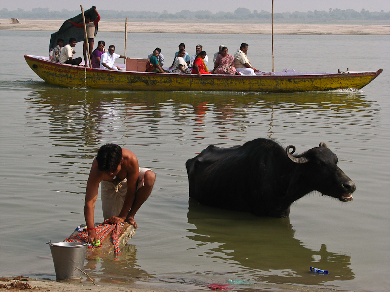 wassen van kleding en waterbuffels gebeurd hier naast elkaar