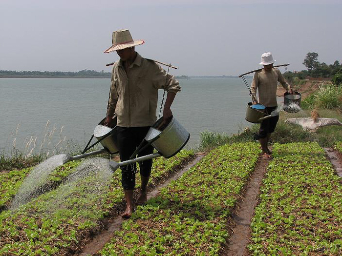 56  slaveld langs de Mekong