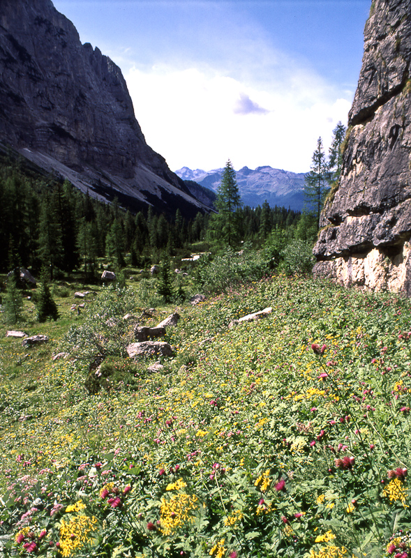 Brenta Dolemieten