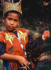Iban-jongen