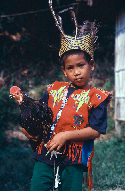 12 Iban-jongen