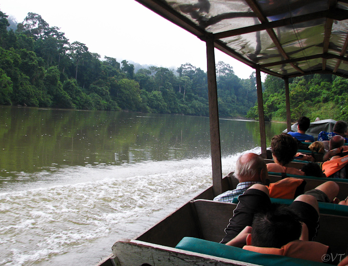 23  naar Taman Negara