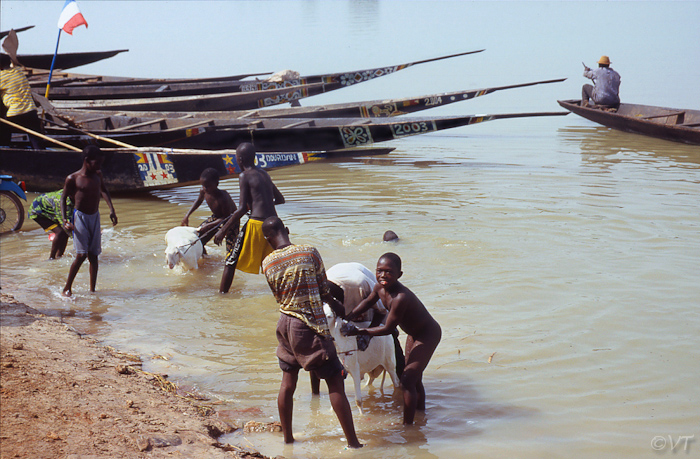 56 Mopti