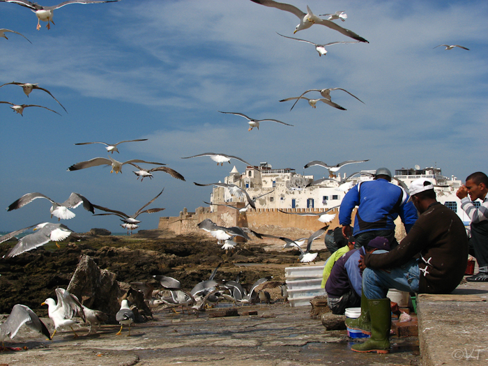 090 Vissers die hun vangst schoonmaken en ter plekke verkopen