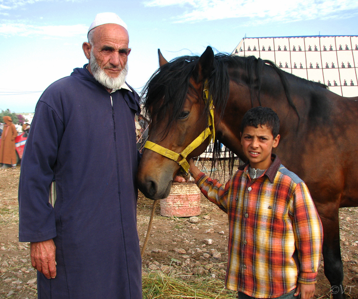 102 Paardenhandelaar