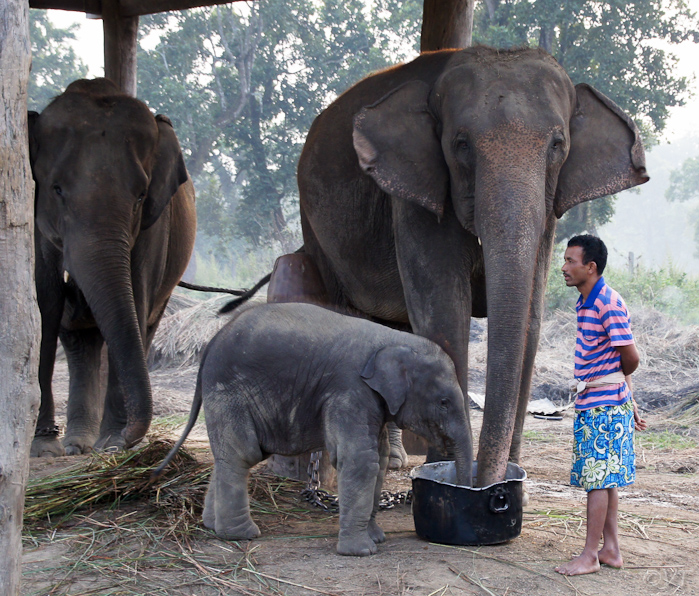 21  Bijna een half jaar oud