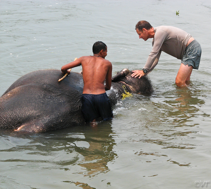 24  Olifantje wassen in het Chitwan NP