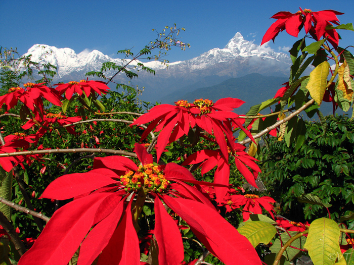 Annapurna-massief met de 6993 meter hoge Fishtail, Tibet