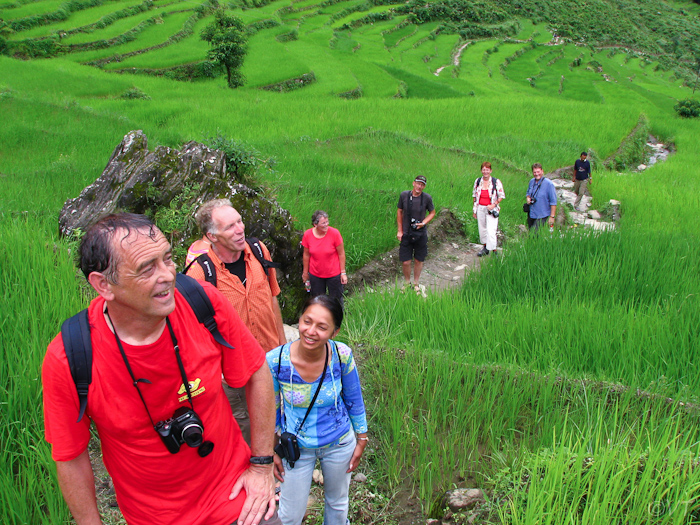 Nepal, rijstvelden bij het Last Resort