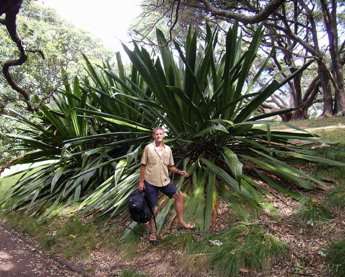 02 Botanische tuin in Auckland