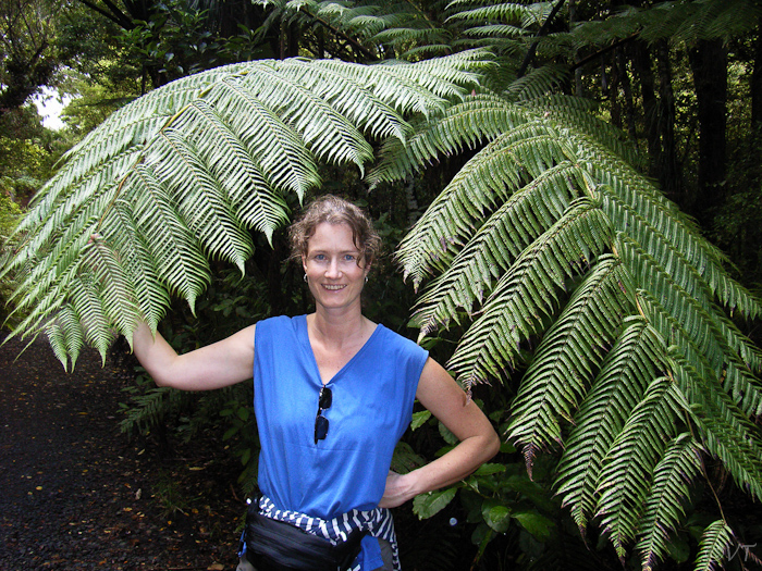 05 uit de kluiten gewassen varens