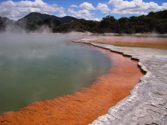 15 de Champagne  plas in Thermal Wonderland