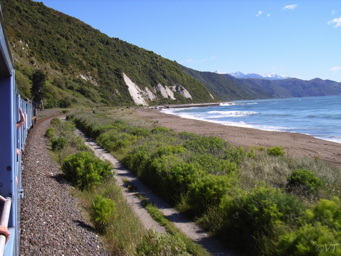 23 treinreis bij Kaikoura aan de oostkust