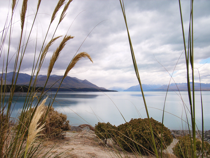 59 lake Pukaki bij mt Cook