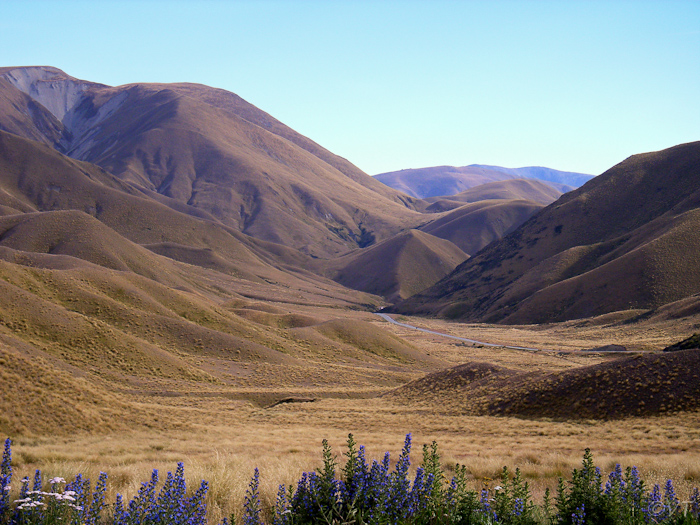 60 de Burkes pas op weg naar Christchurch