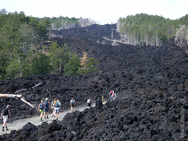 58 De lavavelden uit 2002