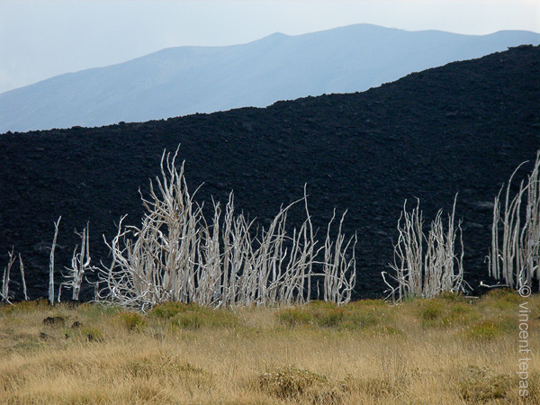 63 Hoe zwarter de gestolde lava, hoe jonger het  is