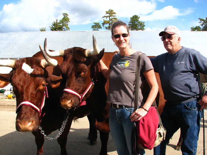 15 lieve tweeling van ieder 1200 kg