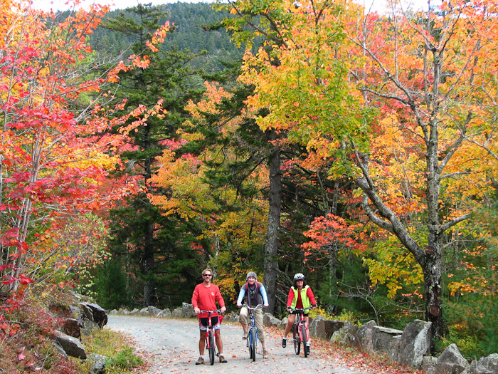 46  Acadia NP